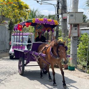 Mekong Delta Tour Full Day-Saigon Locals Travel