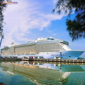Phu My Port To Saigon By Private Car-Saigon Locals Travel