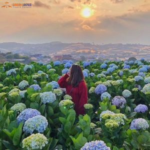 Private Car Ho Chi Minh To Dalat-Saigon Locals Travel