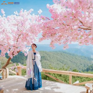 Saigon To Dalat By Car-Saigon Locals Travel