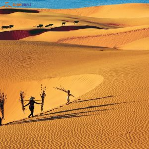 Saigon To Mui Ne Limousine-Saigon Locals Travel