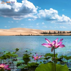 Saigon To Mui Ne Limousine-Saigon Locals Travel