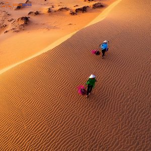 Nha Trang To Mui Ne By Limousine-Saigon Locals Travel