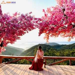 Nha Trang To Dalat By Car-Saigon Locals Travel