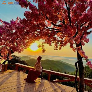 Private Car Nha Trang To Dalat-Saigon Locals Travel