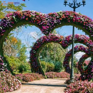 Nha Trang To Dalat By Private Car-Saigon Locals Travel