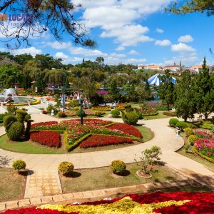 Nha Trang To Dalat By Luxury Car - Saigon Locals