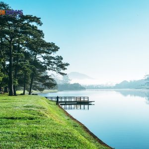 Nha Trang To Dalat Luxury Car Transfer - Saigon Locals