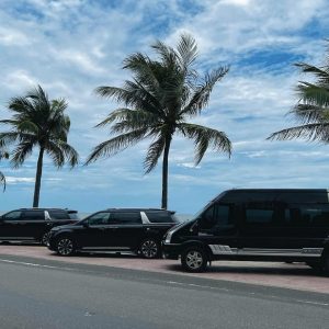 Luxury Car Mui Ne To Saigon-Saigon Locals Travel