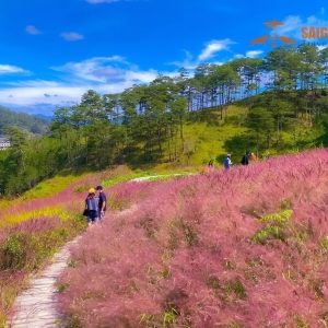 Lien Khuong Airport To Dalat By Car- Dalat Airport Transfer - Saigon Locals