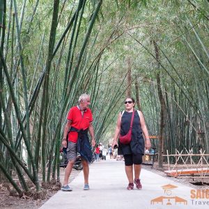 Tu Sang Bamboo Garden