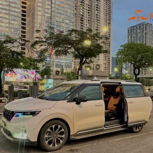 Ho Chi Minh To Mekong Delta Private Car - Saigon Locals