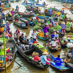 Ho Chi Minh City To Mekong Delta On Private Car - Saigon Locals