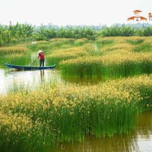 Ho Chi Minh Airport To Mekong Delta Private Car - Saigon Locals