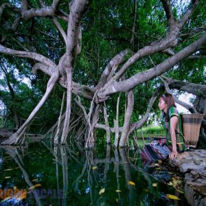 Nam Cat Tien National Park