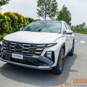 Ho Chi Minh To Phan Thiet Private Car - Saigon Locals