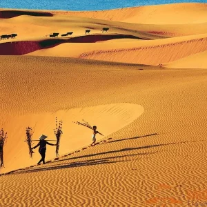 Phu Yen To Mui Ne By Private Car - Saigon Locals