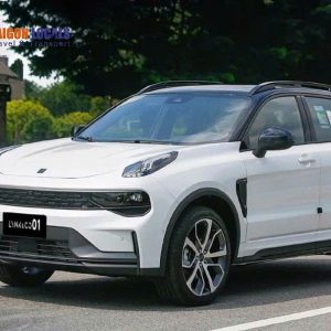 Quy Nhon to Cam Ranh private car - Saigon Locals