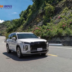 Phu Yen To Ho Chi Minh By Private Car - Saigon Locals