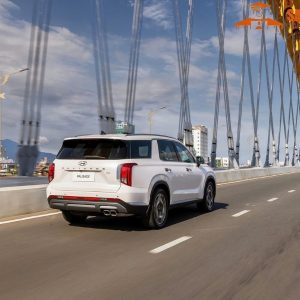 Quy Nhon To Da Nang Private Car - Saigon Locals