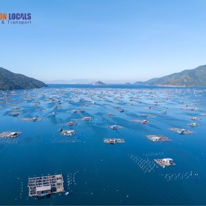 Phu Yen To Nha Trang By Car - Saigon Locals