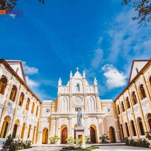 Phu Cat Airport to Quy Nhon private car - Saigon Locals