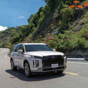 Dalat To Mui Ne Private Car Transfer - Saigon Locals