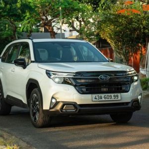 Dalat To Mui Ne By Private Car Transfer - Saigon Locals