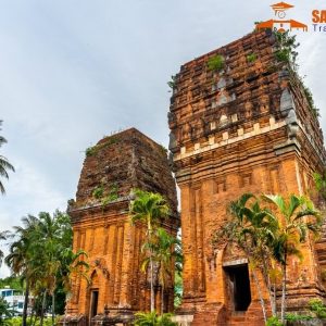 Quy Nhon to Dalat By Car - Saigon Locals