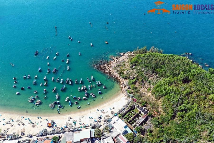 Ho Chi Minh To Quy Nhon By Private Car - Saigon Locals