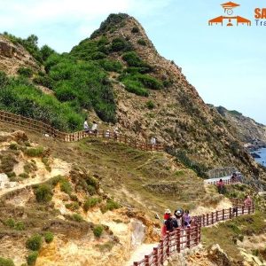 Ho Chi Minh To Quy Nhon By Private Car - Saigon Locals