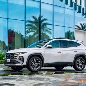 Phu Yen To Mui Ne By Private Car - Saigon Locals