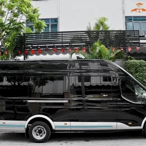 Quy Nhon To Saigon Limousine - Saigon Locals