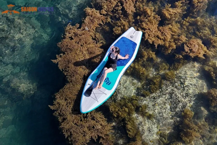 Nha Trang To Quy Nhon By Luxury Car Transfer - Saigon Locals