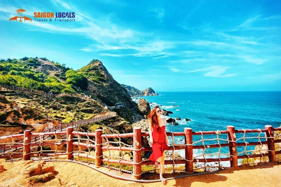 Saigon to Quy Nhon limousine - Saigon Locals