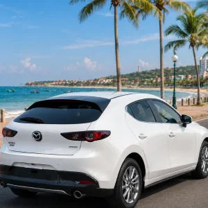 From Mui Ne To Phan Thiet By Private Car - Saigon Locals