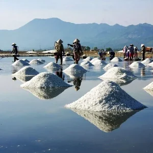 Phu Yen To Hoi An By Private Car Rental - Saigon Locals