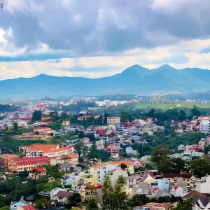 Quy Nhon To Dalat Luxury Car - Saigon Locals