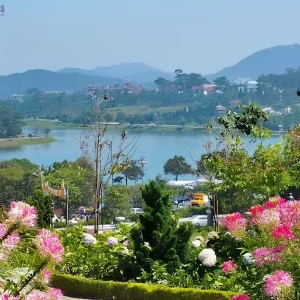 Transfer From Quy Nhon To Dalat Limousine - Saigon Locals