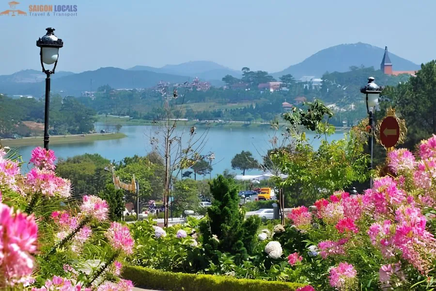 Transfer From Quy Nhon To Dalat Limousine - Saigon Locals