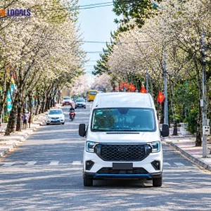 Dalat to Quy Nhon limousine - Saigon Locals