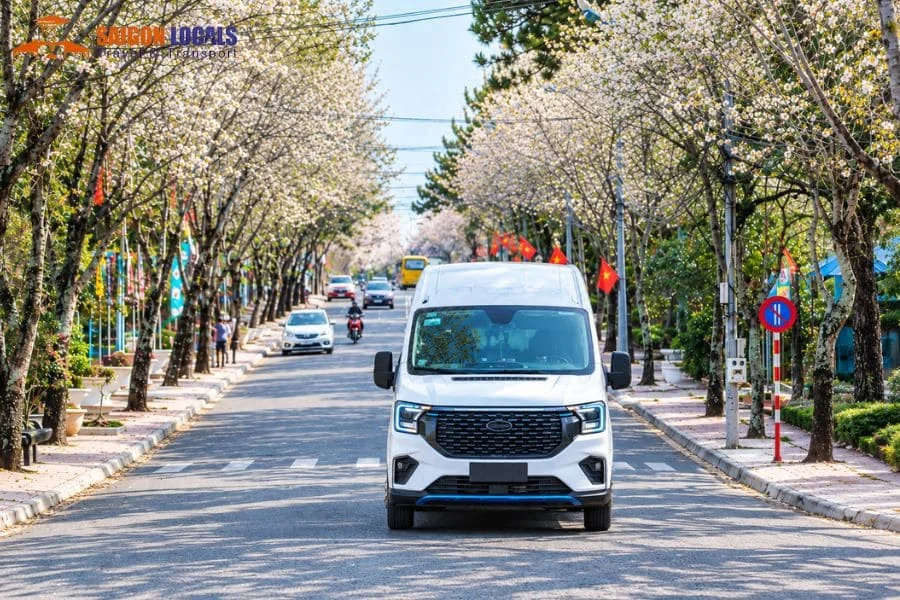 Dalat to Quy Nhon limousine - Saigon Locals