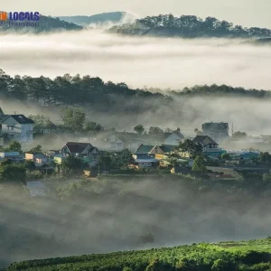 Dalat to Quy Nhon limousine - Saigon Locals