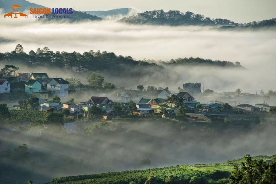 Dalat to Quy Nhon limousine - Saigon Locals