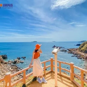 Phu Cat Airport to Quy Nhon by limousine - Saigon Locals